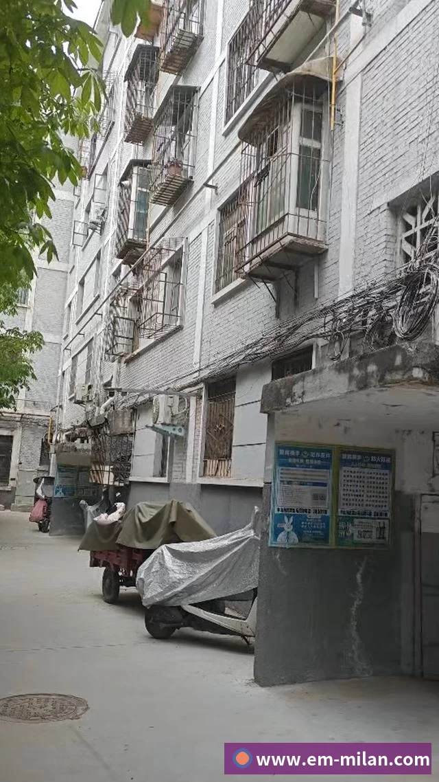 官网:0731-82995386 售后:400-87585775 首页 AI体育中考/高考